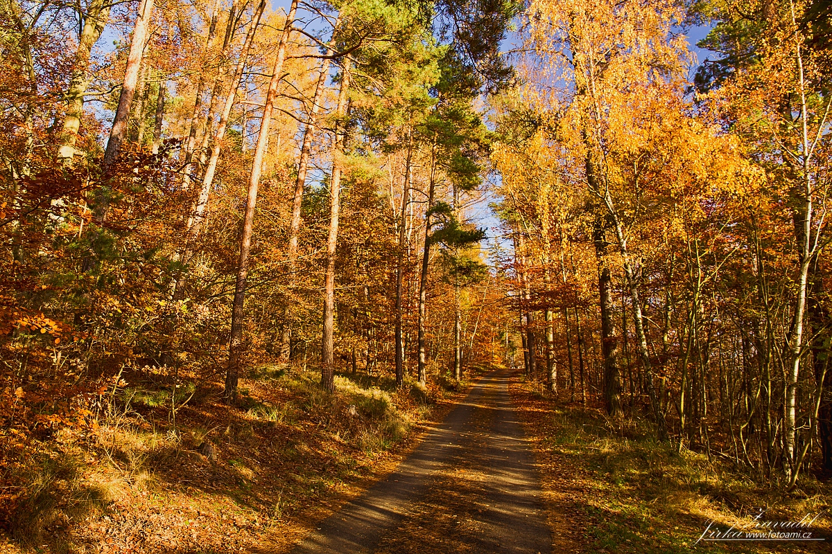 Fotoami Jirka Zavadil-Maková hora